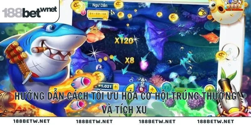 Hướng dẫn cách tối ưu hóa cơ hội trúng thưởng và tích xu