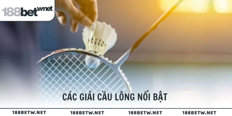 Các giải cầu lông nổi tiếng được 188BET cung cấp