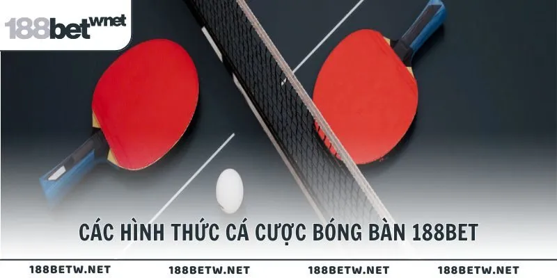 Các hình thức cá cược bóng bàn 188BET cho hội viên