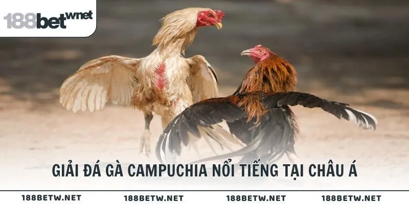Giải đá gà Campuchia nổi tiếng tại châu Á