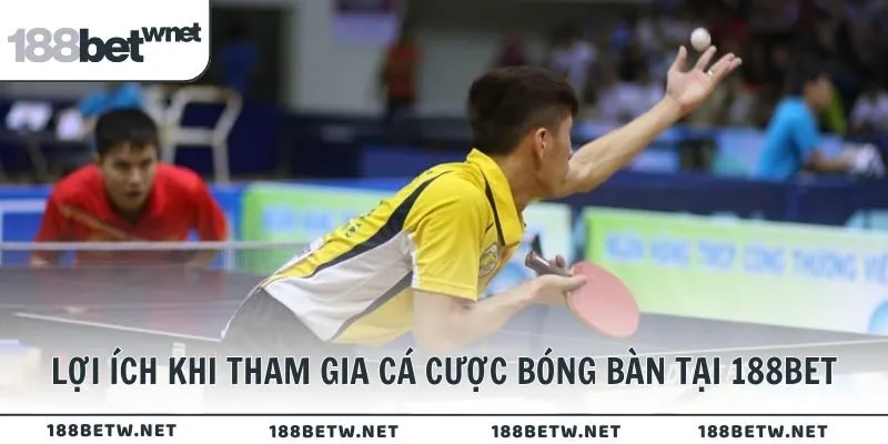 Một số lợi ích khi tham gia cá cược bóng bàn tại nhà cái 188BET