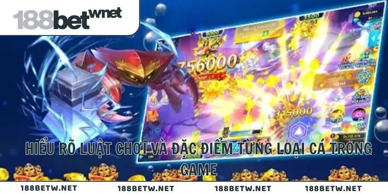 Hiểu rõ luật chơi và đặc điểm từng loại cá trong game
